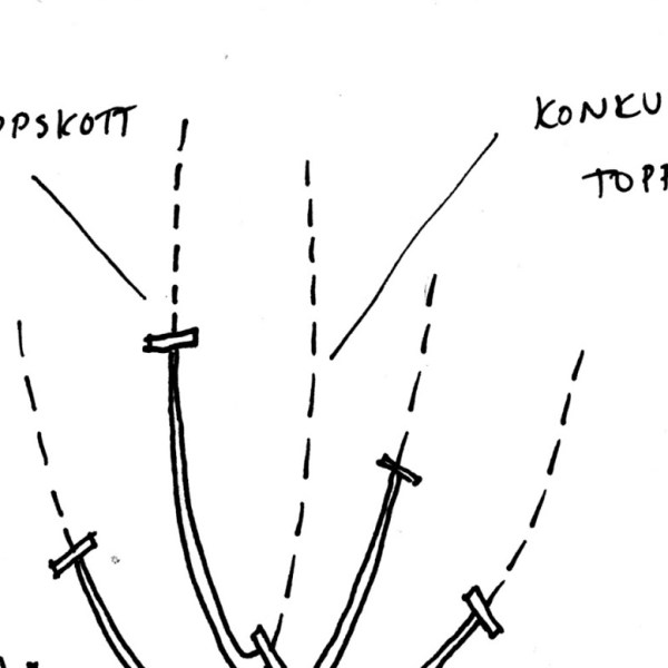 Etableringsbeskärning